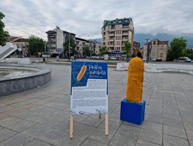 Во утринските часови во центарот на Скопје, младиот уметник Озбек Ајваз претстави уште две скулптури од неговиот проект за подигнување на свеста  за секојдневната опасност од патогените бактерии