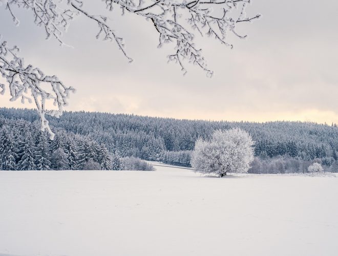 Македонија останува под влијание на силен Антициклон: Зима и понатаму нема